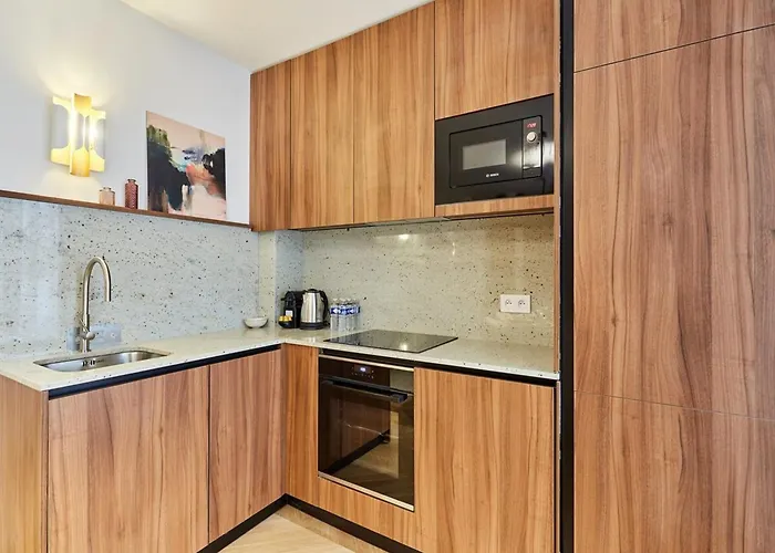 Magnificent With Ac - Center Of 公寓 *